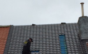 IMG_6295 