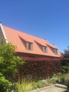 tecto_dakwerken klasiek2  
