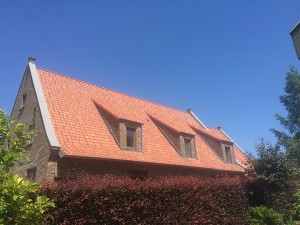 tecto_dakwerken klasiek3  